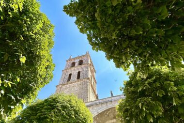 Iglesia de Santa María de la Asunción (Dueñas)