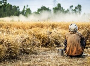 farmer-g40007c6da_640